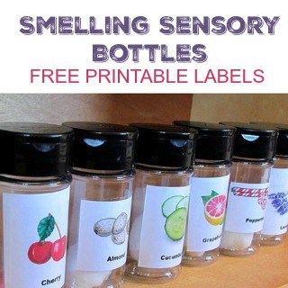Smelling Sensory Bottles