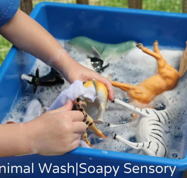 Animal Wash - Soapy Sensory