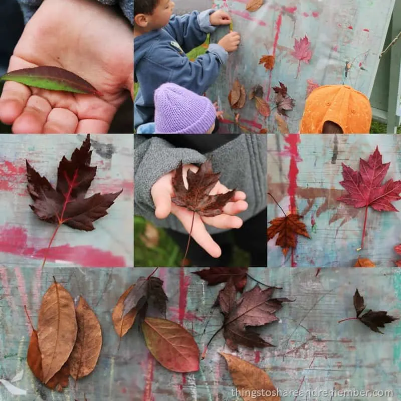 fall collage on the easel - Outdoor Art: Autumn Leaf Collage