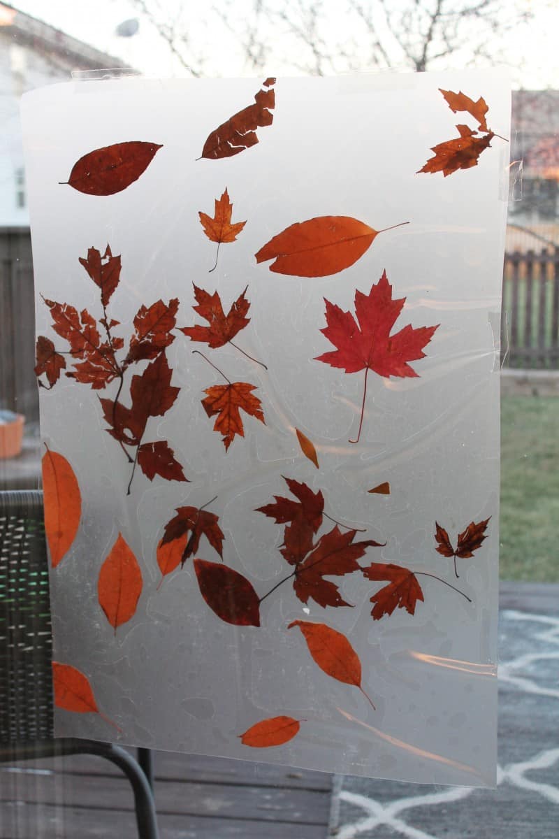Leaf Collage Art