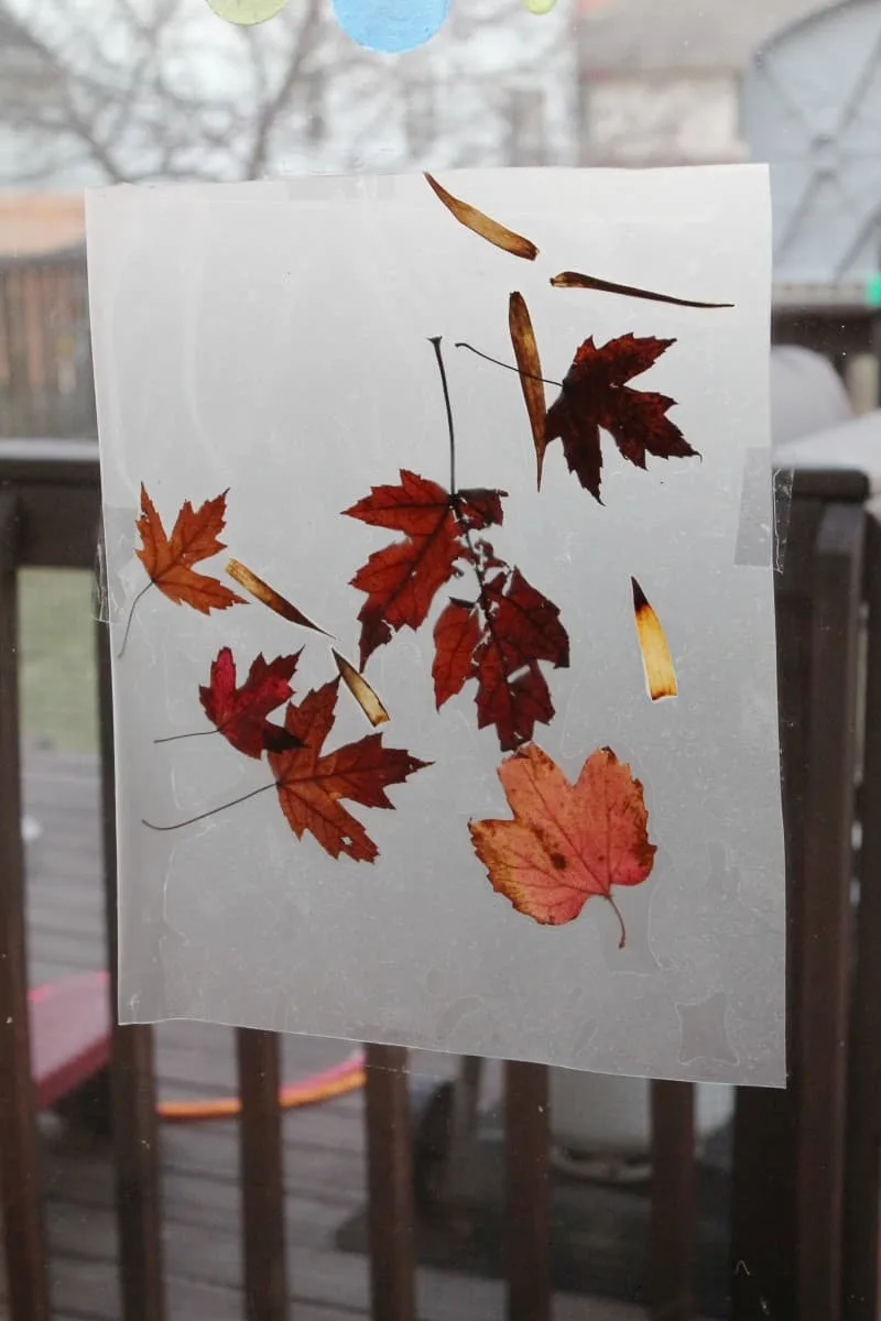 Outdoor Art: Autumn Leaf Collage