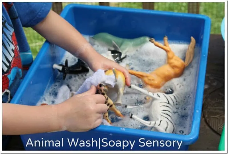 Animal Wash - Soapy Sensory preschool sensory outdoor play idea