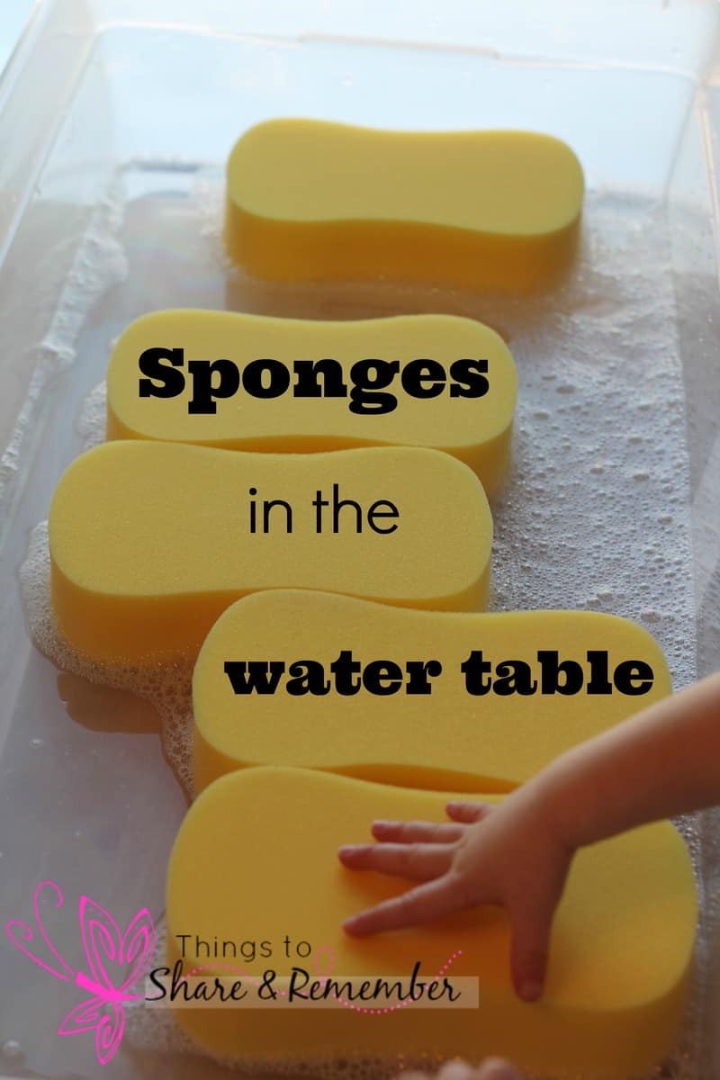 Sponges in the water table