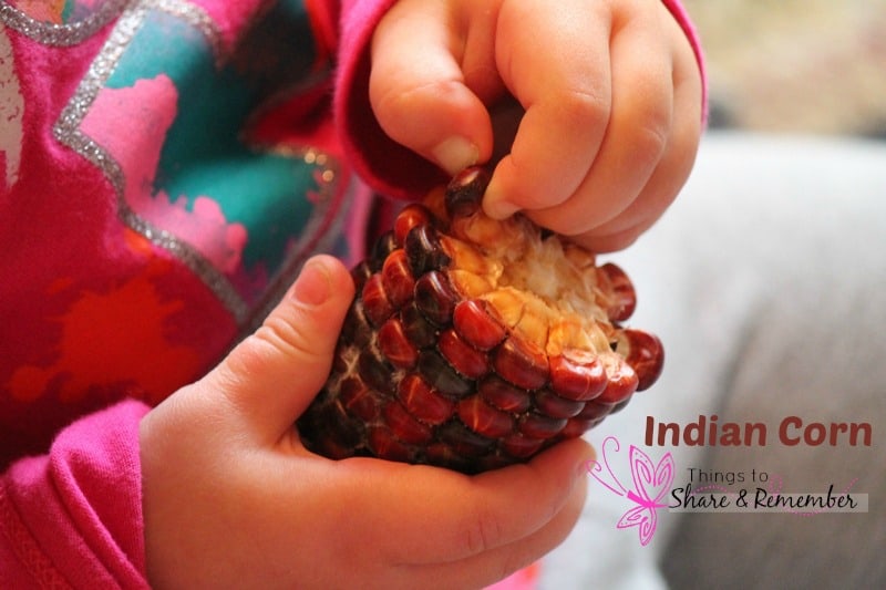 indian corn sensory science