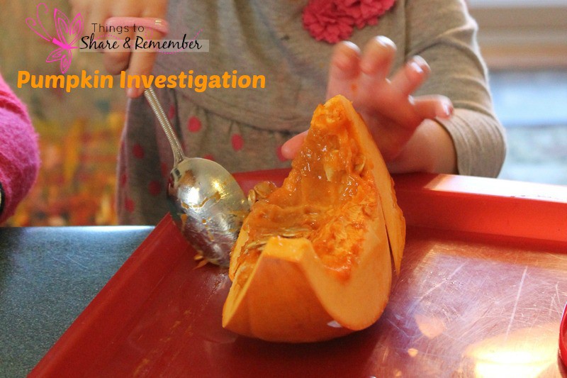 pumpkin investigation