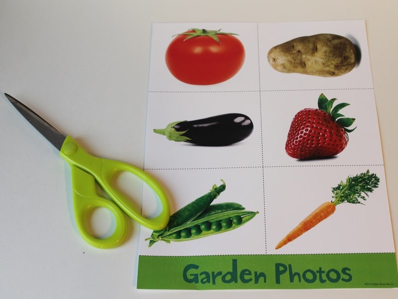Experience a Day of Learning with Mother Goose Time - garden photo cards