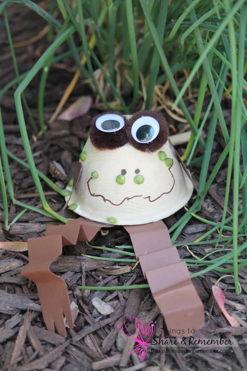 toad craft in the garden