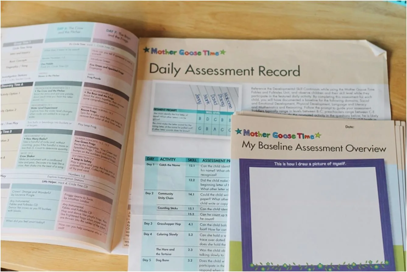 Daily Assessment Record