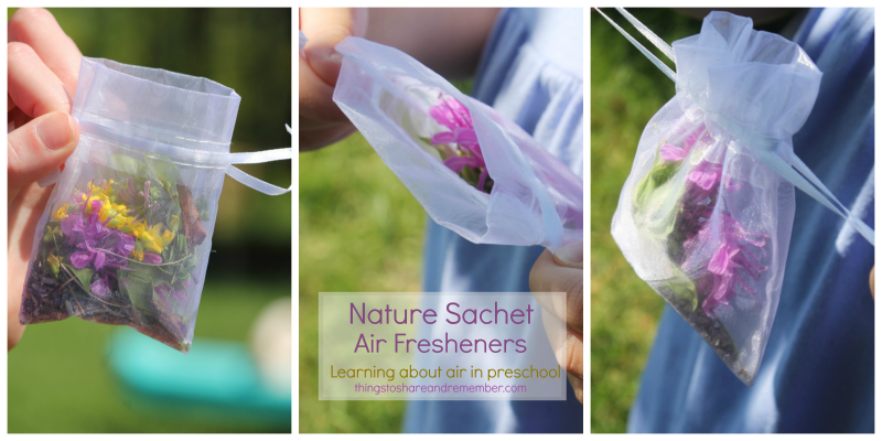 Nature Sachet Air Fresheners