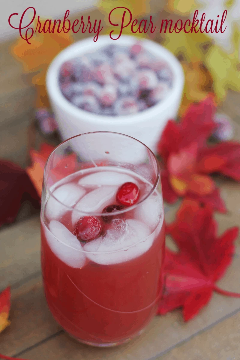 Cranberry Pear Mocktail
