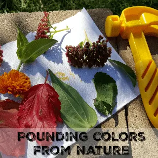 Pounding Colors from Nature #MGTblogger
