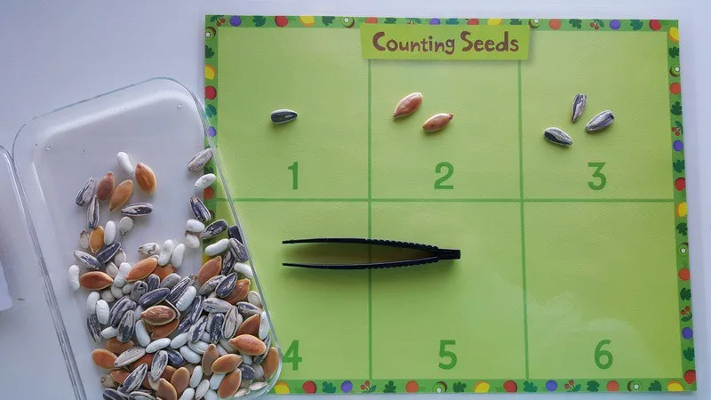 Counting Seeds Mat in Preschool #MGTblogger #intheorchard

Exploring Seeds in Preschool - sunflower and garden sensory bin for fall orchard theme