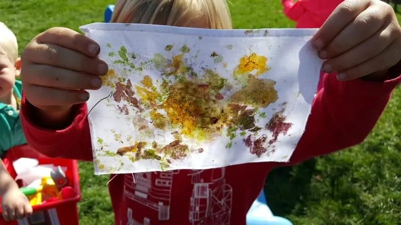 pounding colors from plants on fabric nature activity for preschoolers #MGTblogger