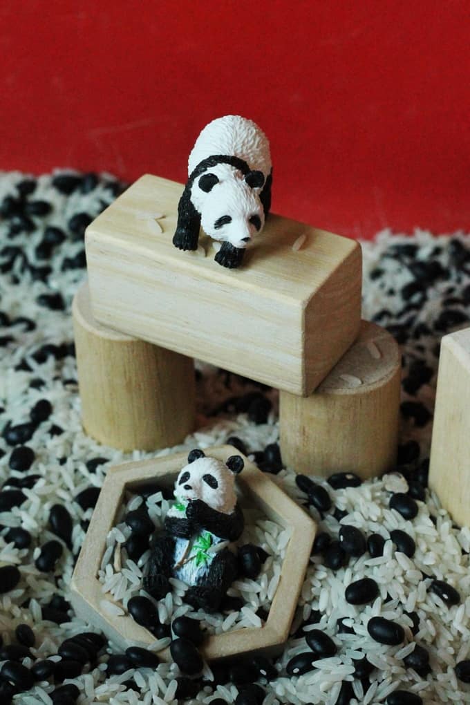 Black and white panda bear sensory bin 