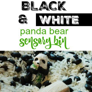 Black and white panda bear sensory bin