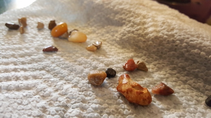 Discover the Desert Rocks - panning for gold #MGTblogger