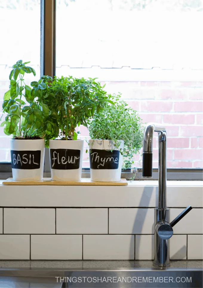 kitchen sink backsplash window sill with herb garden