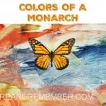COLORS OF A MONARCH