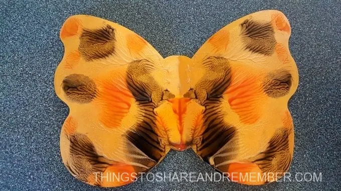 Colors of a Monarch butterfly painted shape symmetrical 