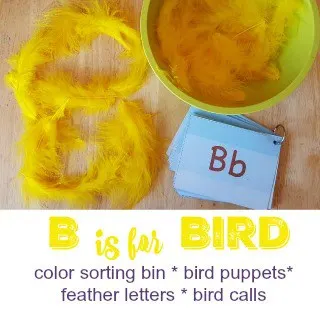 B is for Bird #MGTblogger