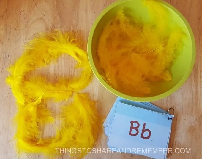 Make a B with feathers