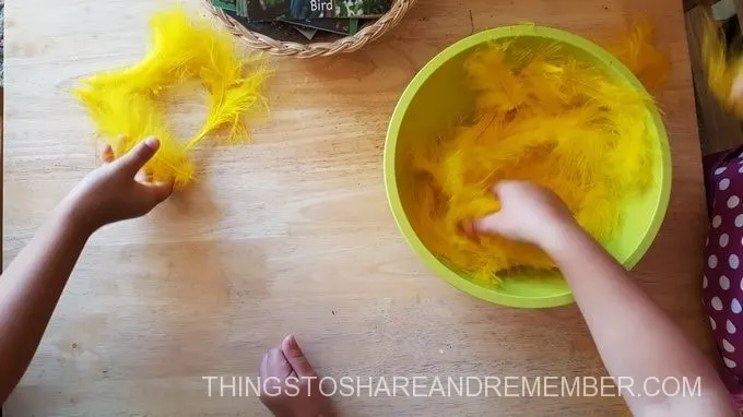 Making letter B with feathers