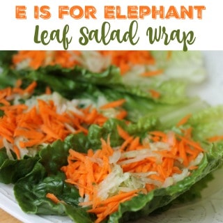 E is for Elephant Leaf Salad Wrap