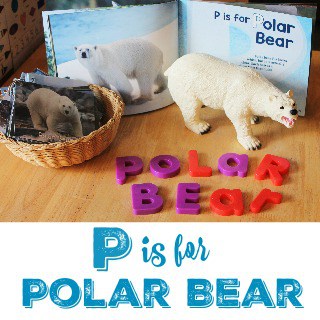 P is for Polar Bear - Share & Remember