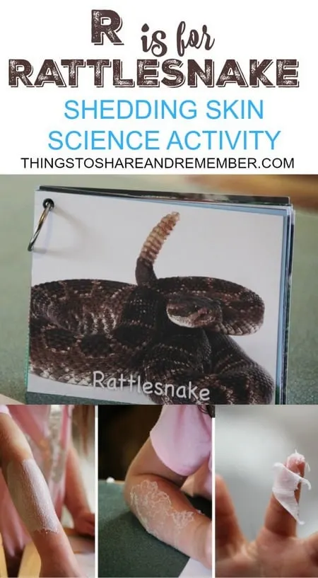 R is for Rattlesnake Shedding Skin Science Activity