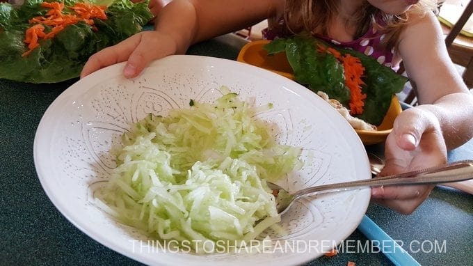 Elephant Leaf Salad Wrap