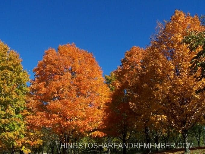 Best Fall Foliage in Beautiful Wisconsin