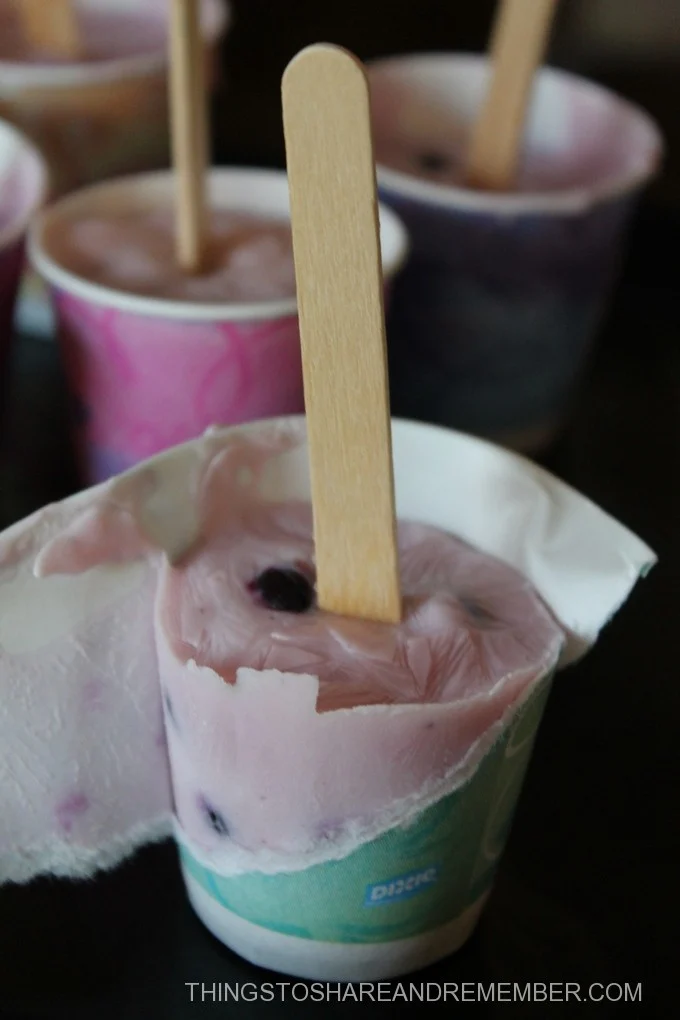 Kids Recipes Frozen Yogurt Pops