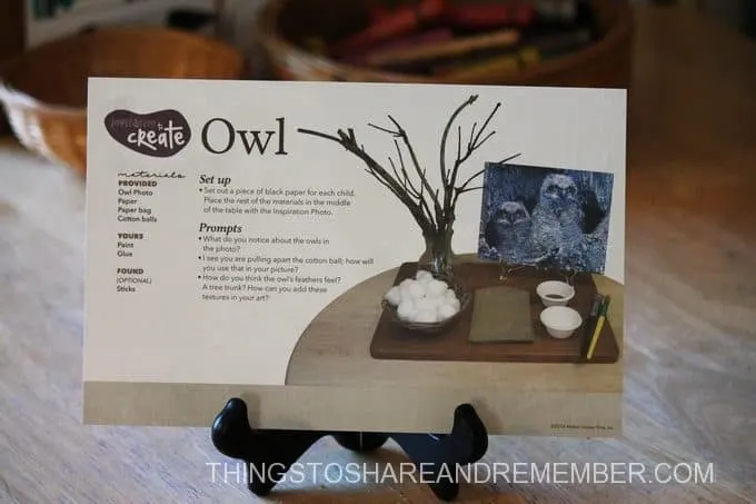 owl-babies