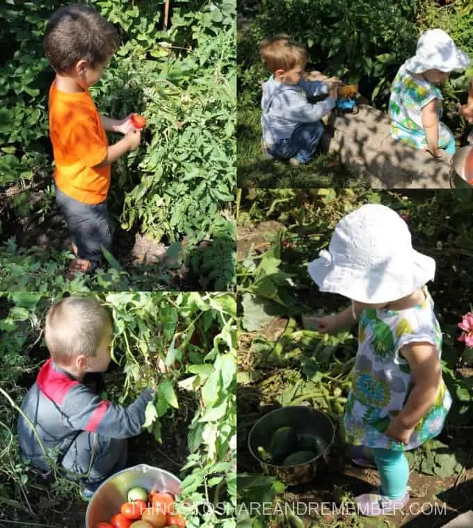 7 Ways Kids Can Explore the Garden in the Fall