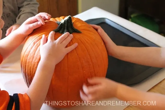 What's Inside a Pumpkin?