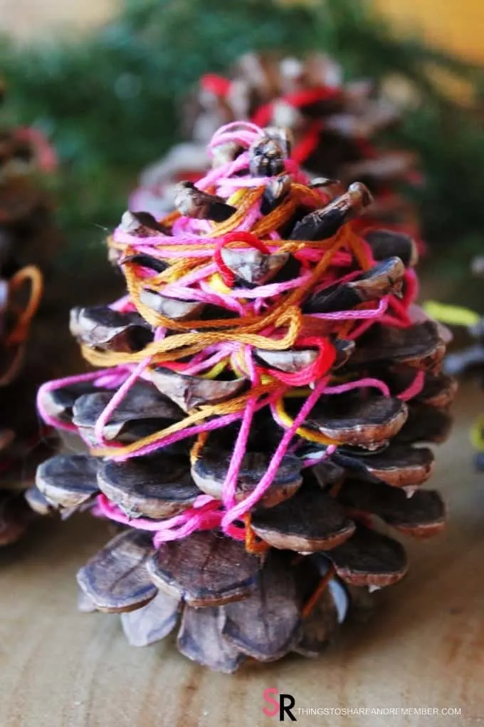 Thread Wrapped Pinecones