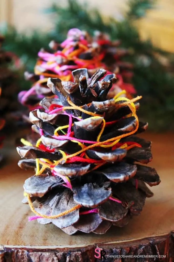 Thread Wrapped Pinecones