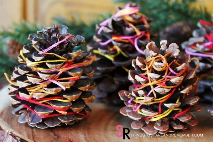 Thread Wrapped Pinecones