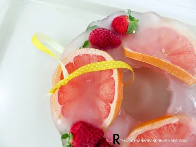 Frozen Fruit & Ice Wreath - tie on ribbon