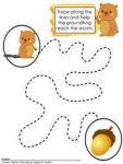 Groundhog Day Tracing Activities & Mazes