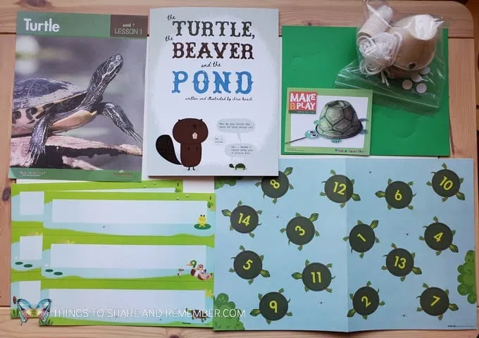 preschool turtle lesson pond life theme