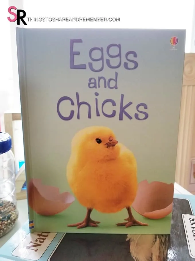 Eggs and Chicks Usborne book