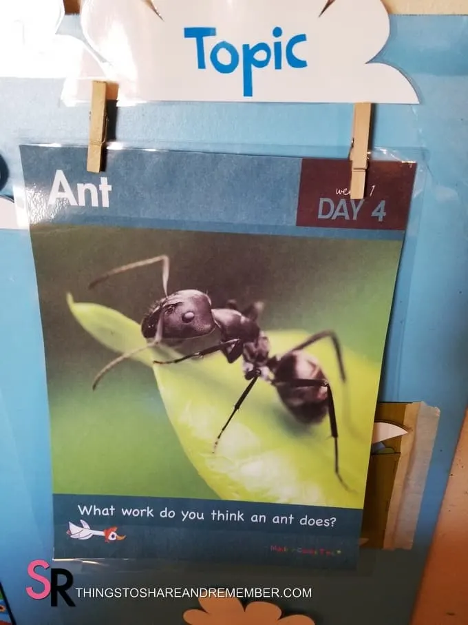 ant daily topic poster