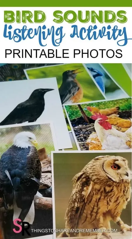 Bird Sounds Listening Activity with Printable Photos