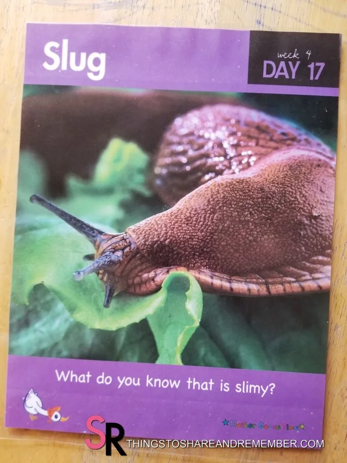 Slug day 17 Bugs & Crawly Things theme