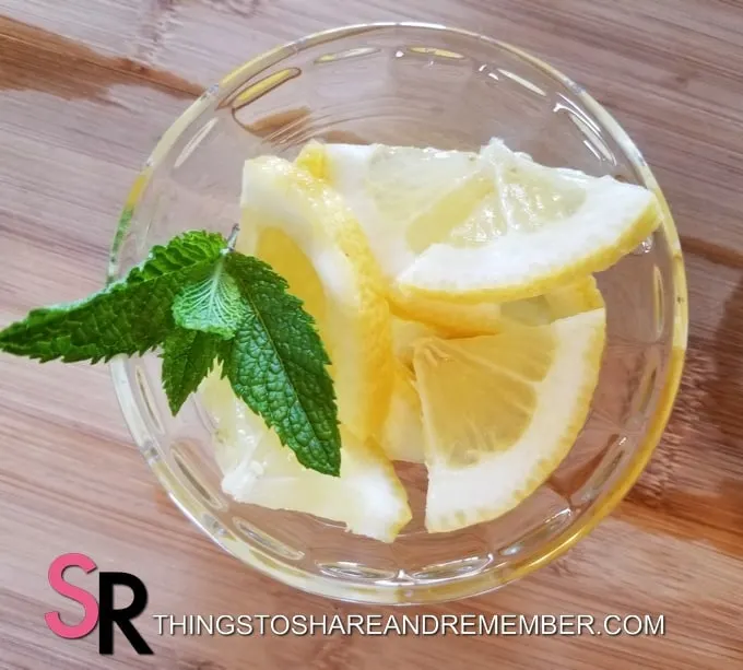 lemon slices with mint sprig