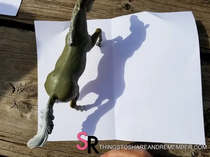 toy horse shadow on paper