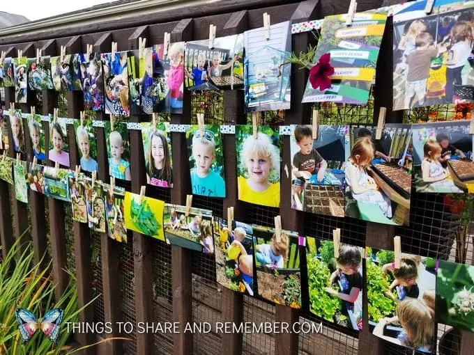 outdoor photo display clips on ribbon