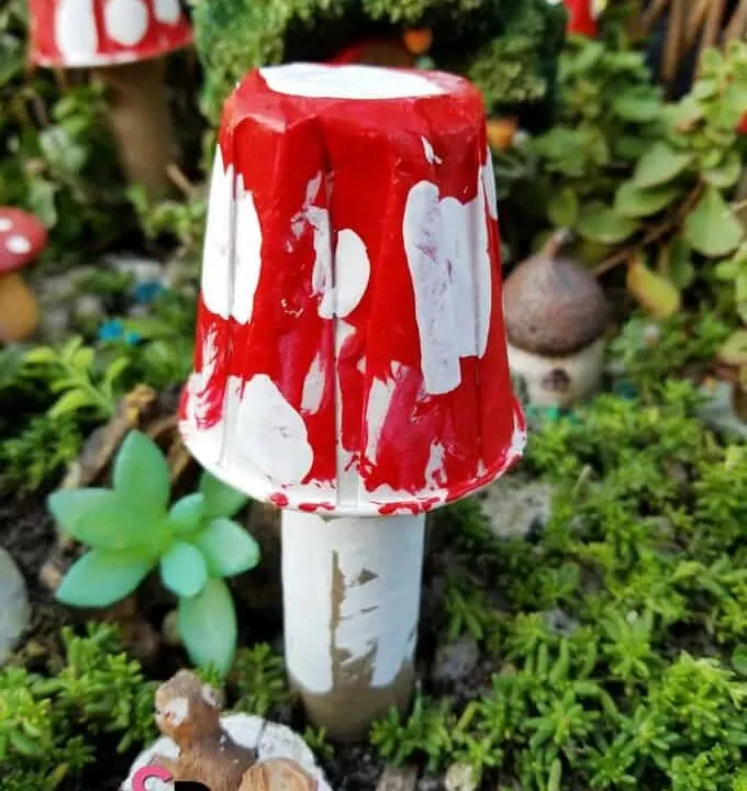 Mushrooms