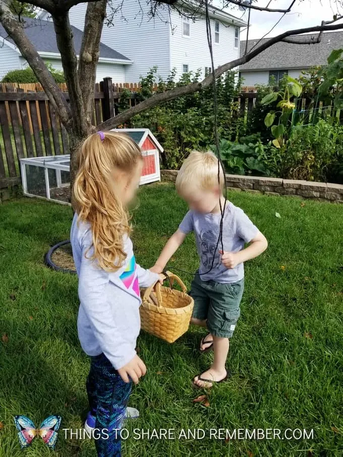 Pulley Basket STEAM Activity